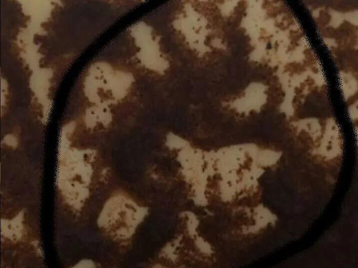 Запись на прием к гадалке в Волгограде